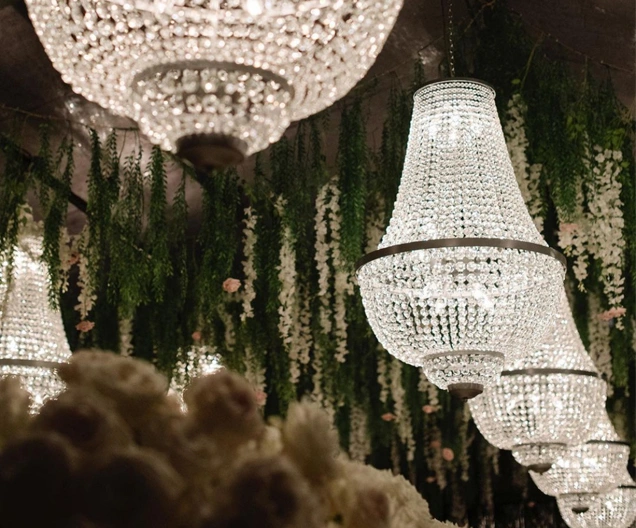 Main Instagram Picture Main Instagram Picture